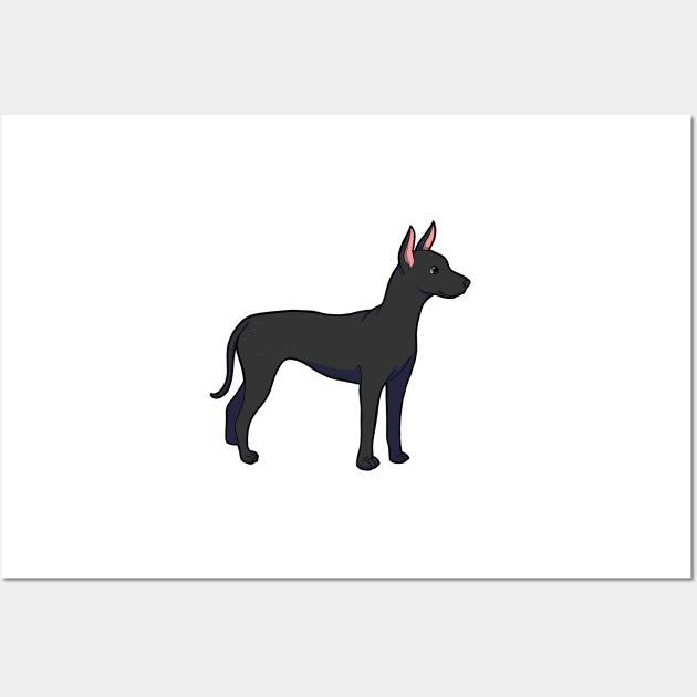 Xoloitzcuintli Wall Art by Adastumae